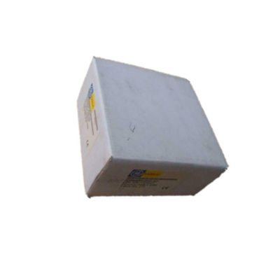 IC200ALG264 ελεγκτής μικροϋπολογιστών της Γερμανίας Fanuc Versamax κανάλι 15 τρέχον 15 μπιτ